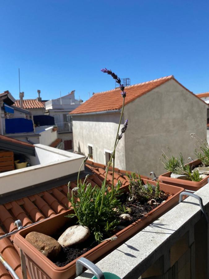 Lucy Apartment Piran-Punta ภายนอก รูปภาพ